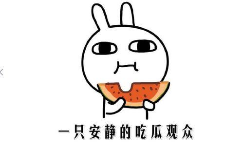 我喜欢吃瓜是啥意思
